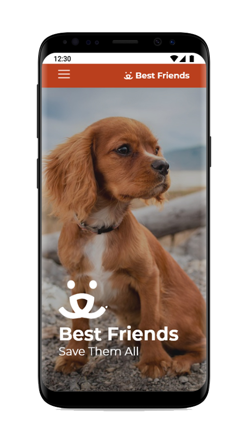 High Fidelity Prototype